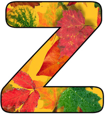 Herbstbuchstabe-5-Z.jpg